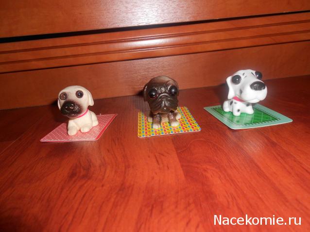 The Dog Collection Болталка