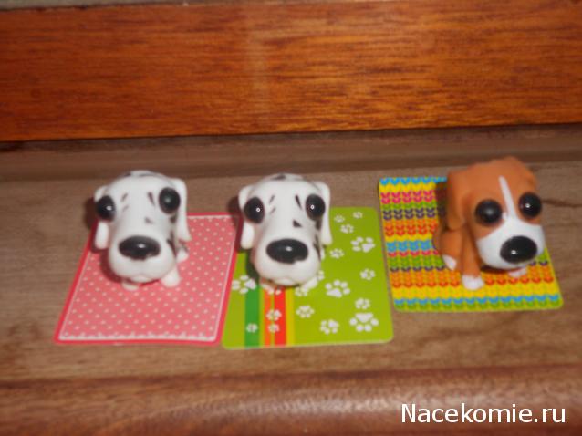 The Dog Collection Болталка