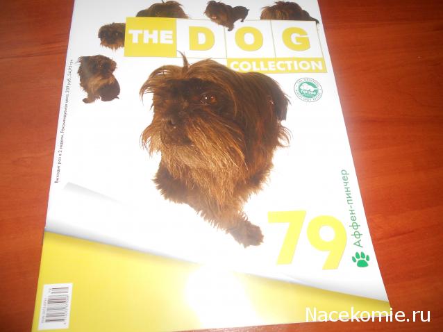 The Dog Collection №79 Аффен-пинчер