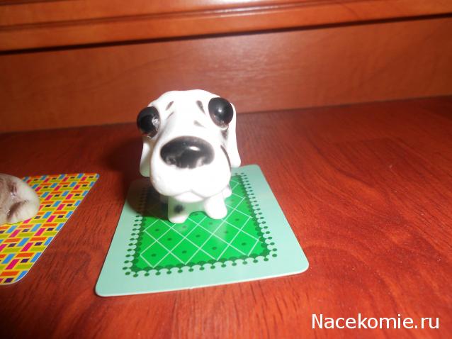 The Dog Collection Болталка