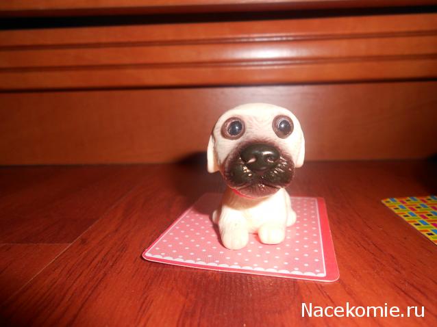 The Dog Collection Болталка