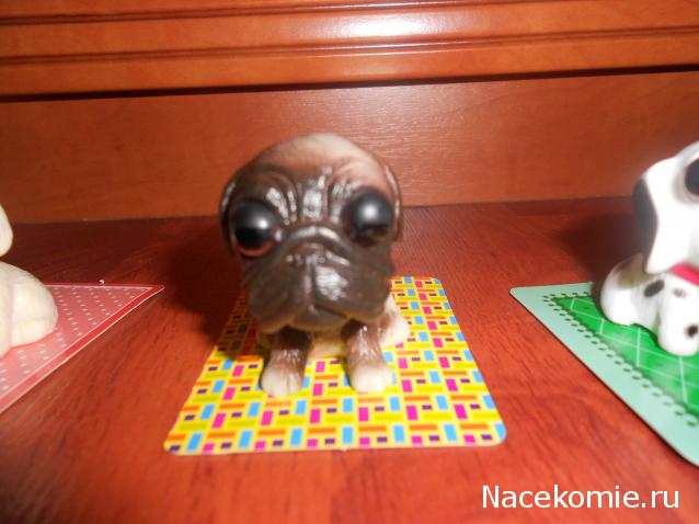 The Dog Collection Болталка