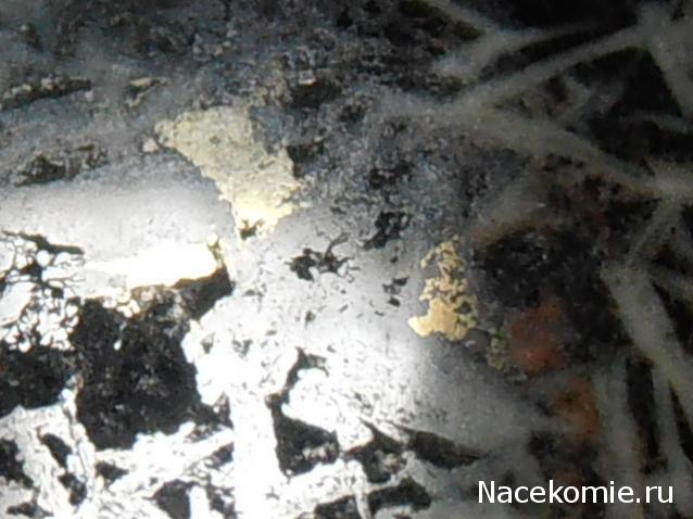 Энергия камней № 101 Цветочная яшма (окатанный камень) фото, обсуждение