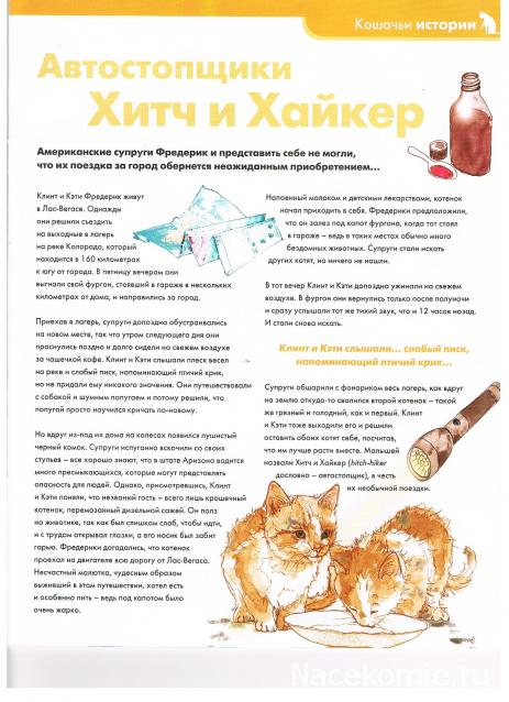 The Cat Collection №16 Абиссинская кошка Фото