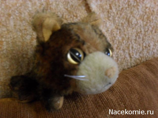 The Cat Collection №16 Абиссинская кошка Фото