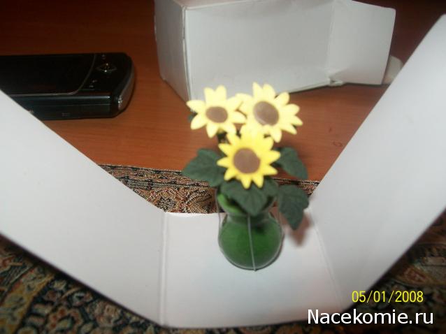 Дом Мечты и Новогодний Санта