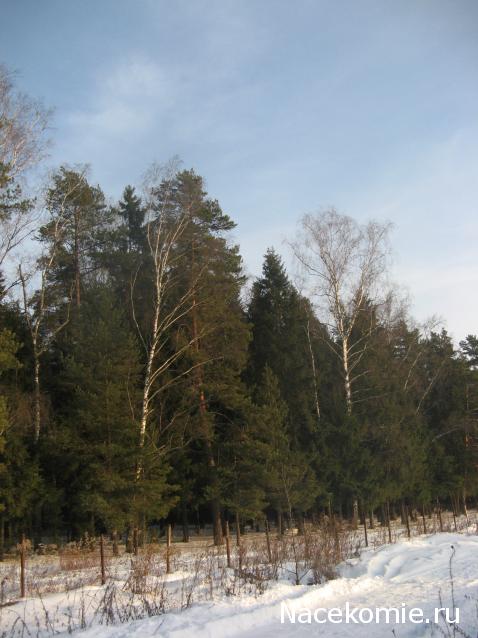 Дом Мечты Болталка: перезагрузка