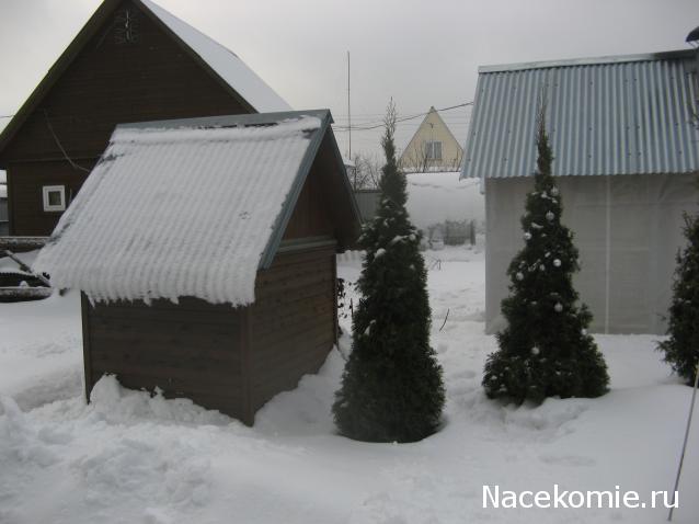 Дом Мечты Болталка: перезагрузка
