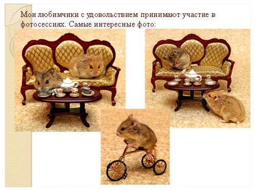 AnnaM (MisAnna) - Миниатюрный мир моей мечты.