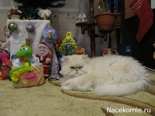 Дом Мечты Болталка: перезагрузка