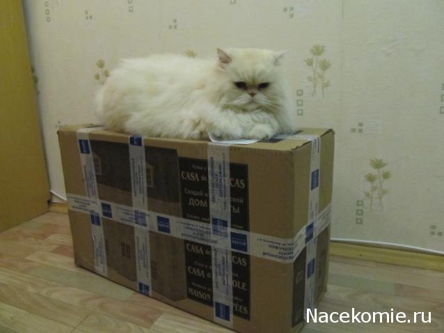 Дом мечты Каркас Дома