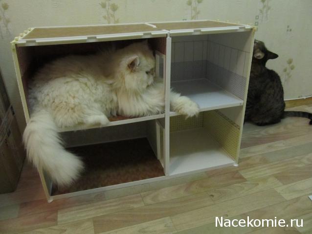 Дом мечты Каркас Дома