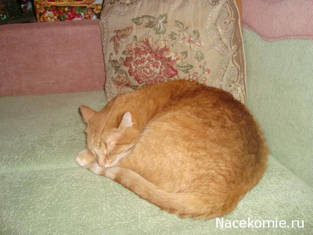 Дом Мечты Болталка: перезагрузка