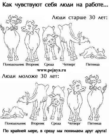Дом Мечты Болталка: перезагрузка