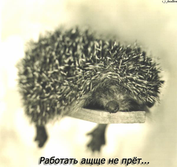 Дом Мечты Болталка: перезагрузка