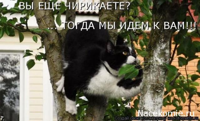 Давайте знакомиться! (болталка о "нас, любимых")