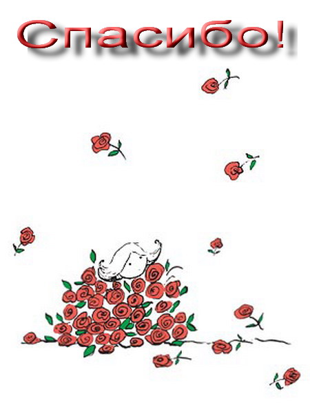 Дом Мечты наши дни рождения