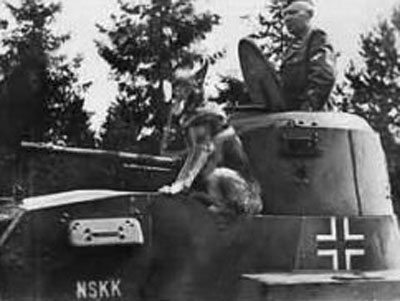 Танкодром (Общая Болталка танковых разделов)