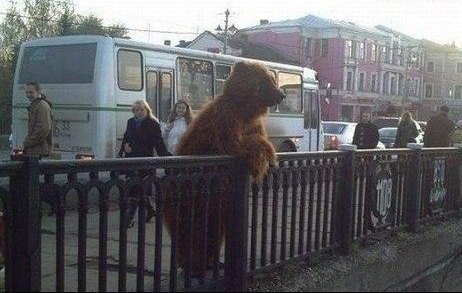 Солдаты ВОВ - Землянка (общение на разные темы)