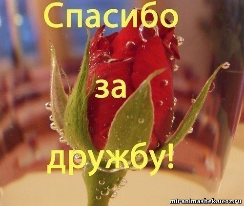 Дом Мечты наши дни рождения