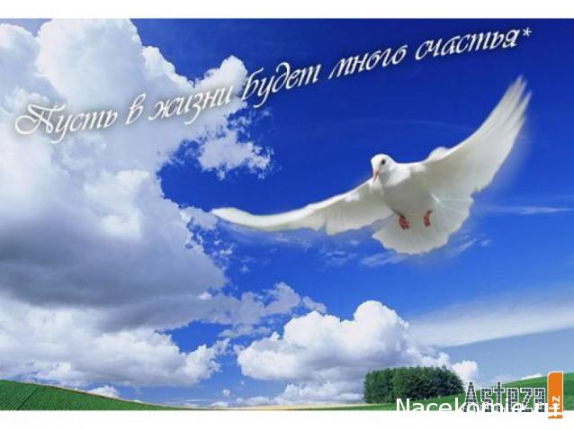 Дом Мечты наши дни рождения