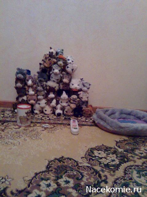 Кошкин дом. Болталка The Cat Collection