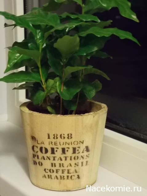 Asya (мои попытки в создании миниатюры)