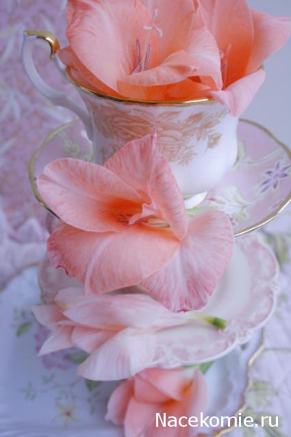 Дом Мечты наши дни рождения