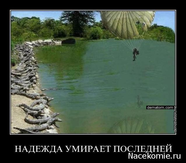 Наполеоновские Войны - График выхода и обсуждение