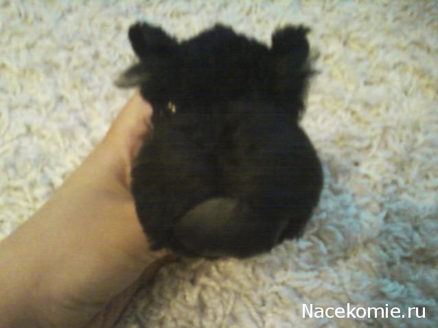 The Dog Collection №78 Ирландский водяной спаниель