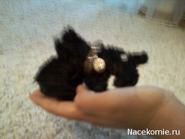 The Dog Collection №78 Ирландский водяной спаниель