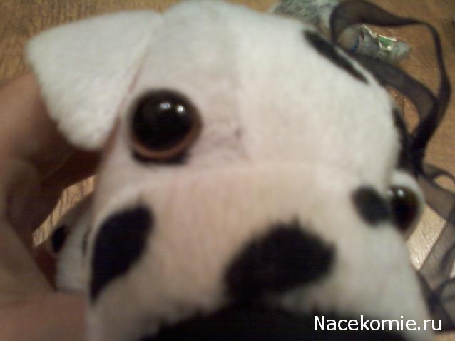 The Dog Collection №78 Ирландский водяной спаниель