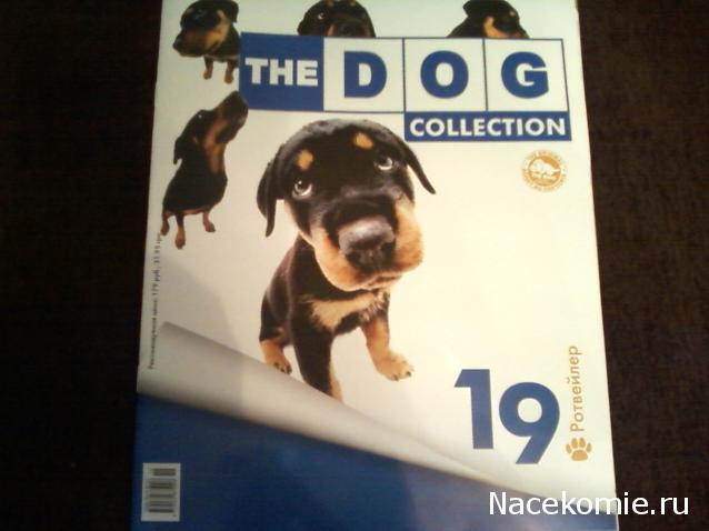 The Dog Collection №19 Ротвейлер