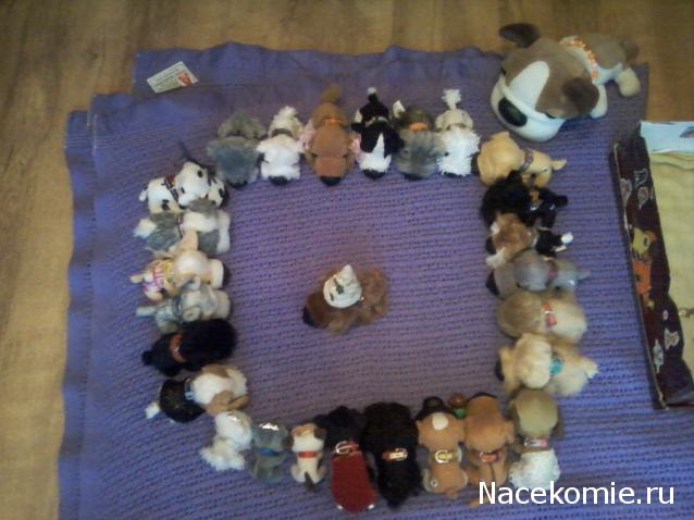 The Dog Collection №78 Ирландский водяной спаниель