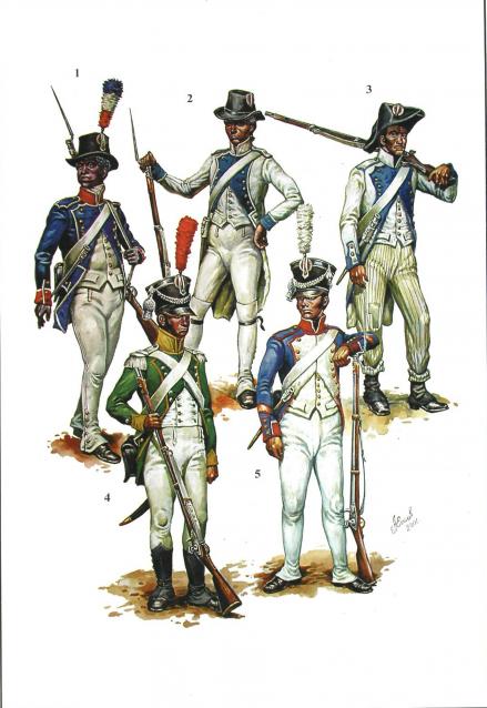 Наполеоновские Войны - График выхода и обсуждение