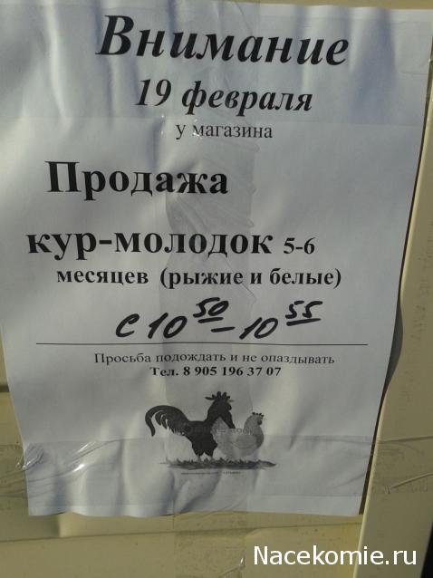 Болталка (часть 2)