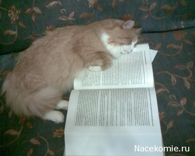 Давайте знакомиться! (болталка о "нас, любимых")