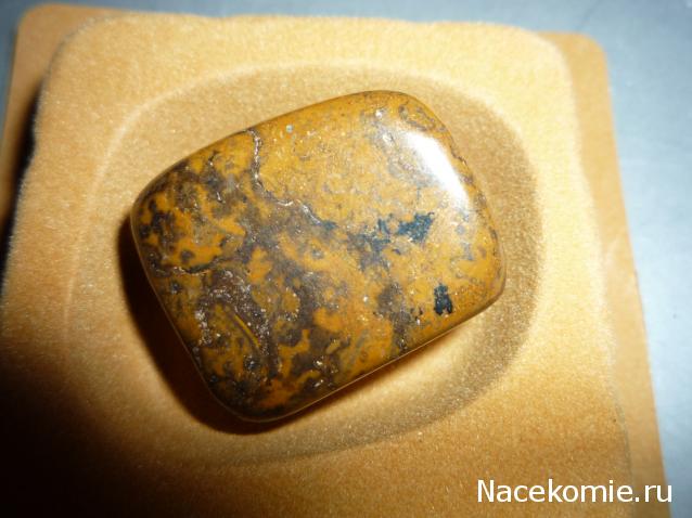 Энергия камней № 108 Строматолит (окатанный камень) фото, обсуждение