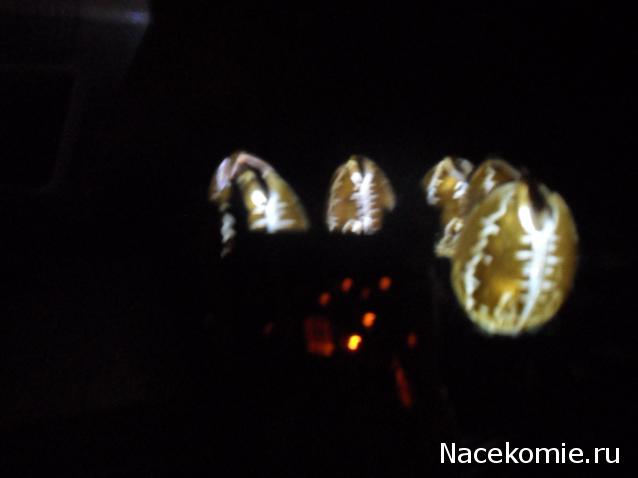 Шахматы Гарри Поттер - График выхода и обсуждение