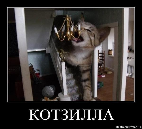 Дом Мечты Болталка: перезагрузка