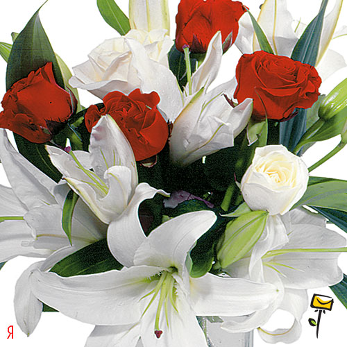 Дом Мечты наши дни рождения