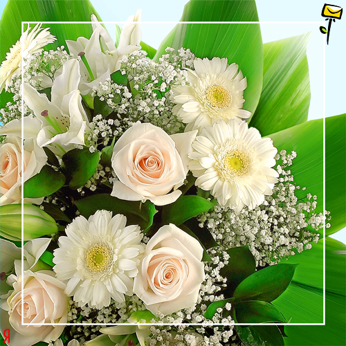 Дом Мечты наши дни рождения