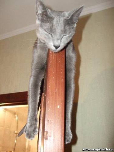 Дом Мечты Болталка: перезагрузка