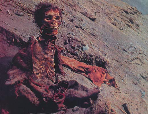 Байки из склепа. Болталка серии Тайны Богов Египта