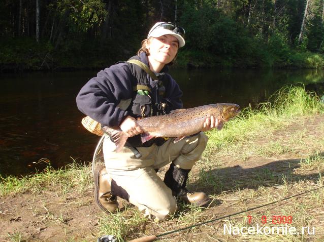 Кто мы, строители кораблей?