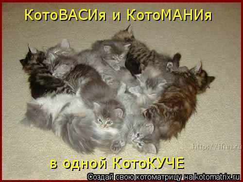 Дом Мечты Болталка: перезагрузка