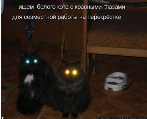 Дом Мечты Болталка: перезагрузка