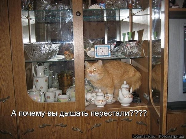 Дом Мечты Болталка: перезагрузка