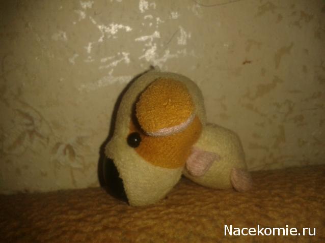 The Dog Collection Болталка