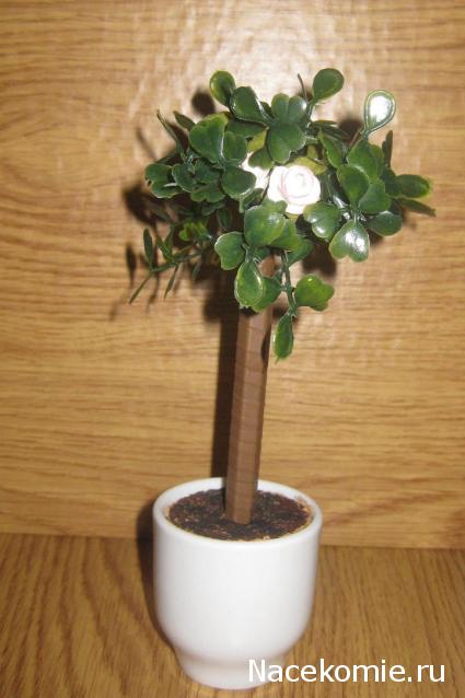 Albusya - "Dream House"